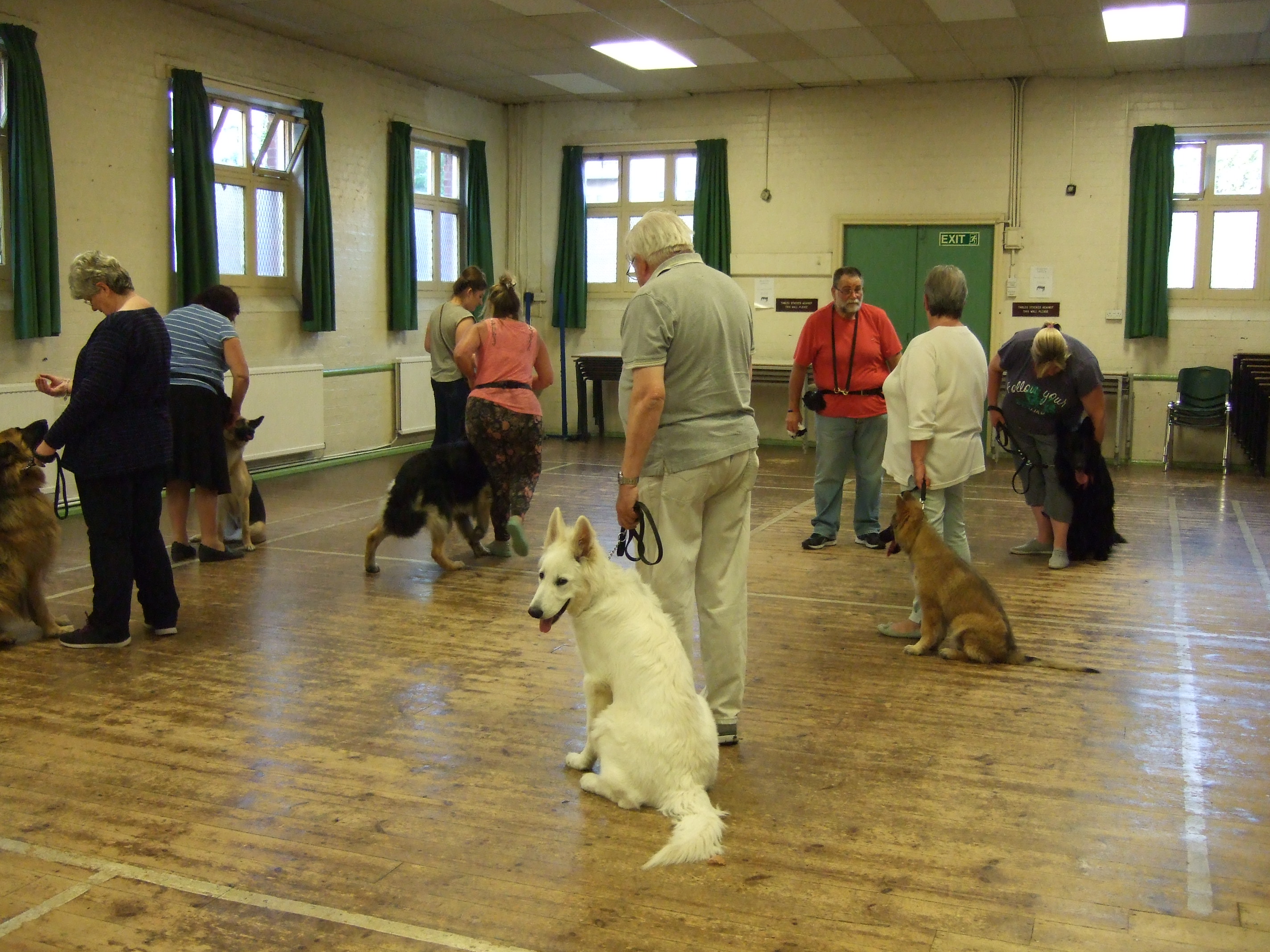 British Association for German Sheperd Dogs Upminster and District Branch